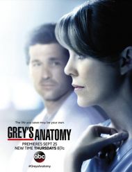 Grey's Anatomy - Season 11